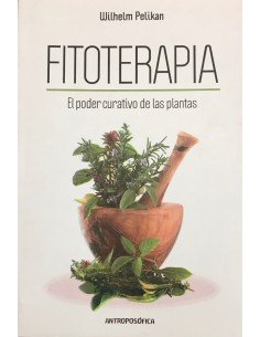 Fitoterapia, el poder curativo de las plantas