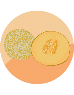 MELON ESCRITO