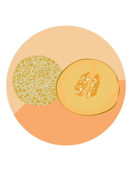 MELON ESCRITO MELON ESCRITO