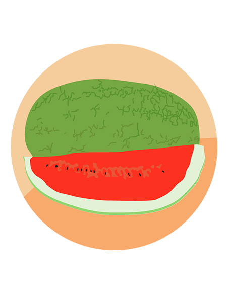 SANDIA Charleston gray