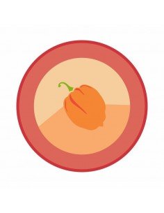 AJI PICANTE habanero