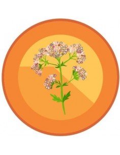 Preparado Biodinámico Valeriana (507)