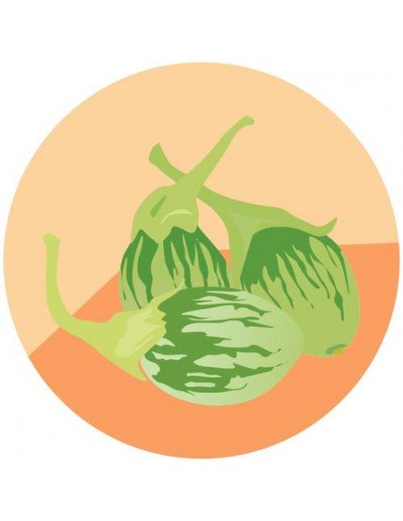 BERENJENA ORIENTAL Petch siam