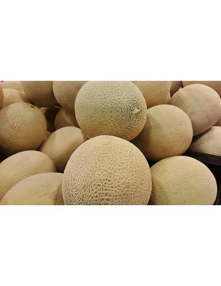 MELON ESCRITO MELON ESCRITO