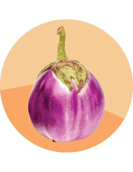 BERENJENA Rotonda Bianca Sfumata di rosa