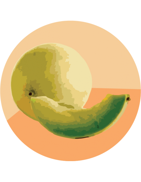 MELÓN ROCÍO DE MIEL Honey Dew Pulpa Verde