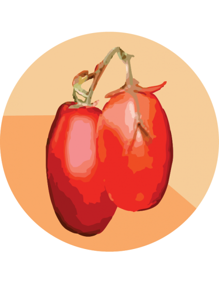 TOMATE OVOIDE Rio Grande