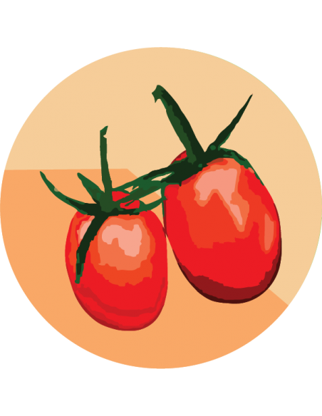 TOMATE PERITA Uco 15 INTA