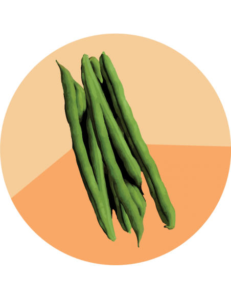 CHAUCHA DE MATA Caprice