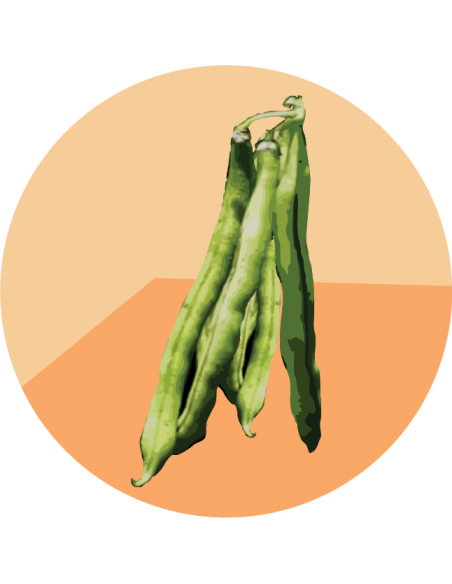 CHAUCHA DE MATA Maxi