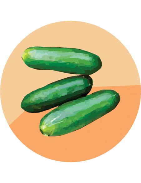 PEPINO DE ENSALADA Bono
