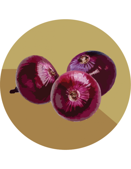 CEBOLLA MORADA Chata de Italia