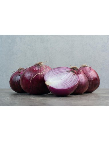 CEBOLLA MORADA Chata de Italia