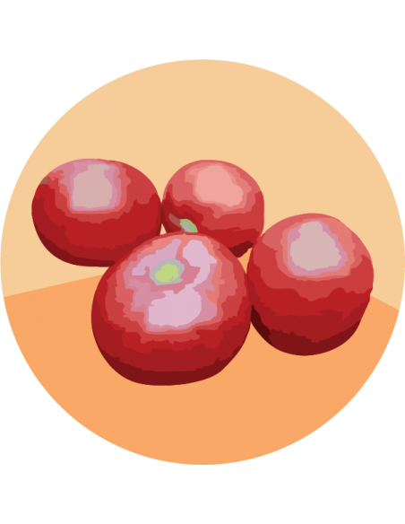 TOMATE CRIOLLO NoMeOlvides (Nº56)