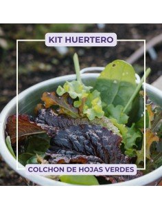 KIT HUERTERO - COLCHÓN DE HOJAS VERDES
