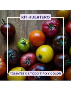 KIT HUERTERO - TOMATES DE TODO TIPO Y COLOR