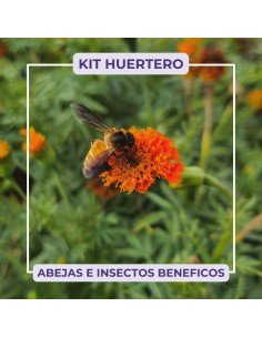 KIT HUERTERO - ABEJAS E INSECTOS BENÉFICOS