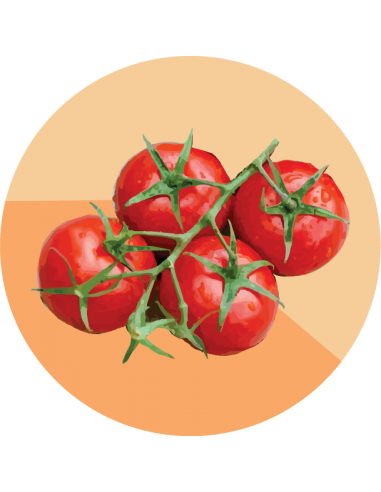 TOMATE CHERRY Red Cherry Large