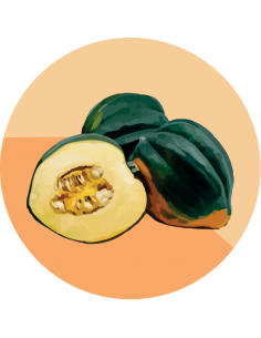 ZAPALLO BELLOTA Table queen