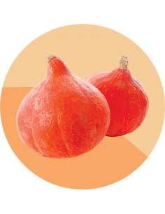 ZAPALLO HOKKAIDO Kuri Rojo