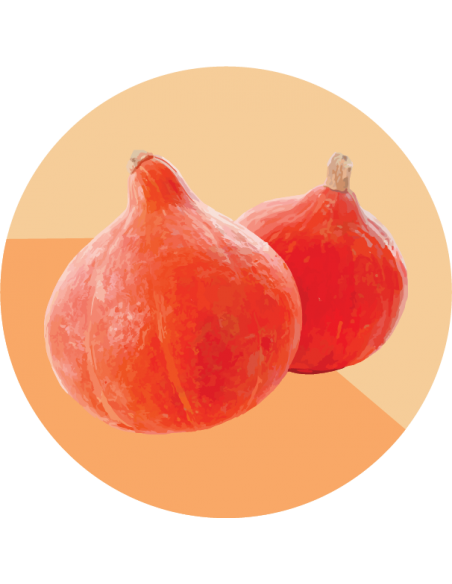 ZAPALLO HOKKAIDO Kuri Rojo ZAPALLO HOKKAIDO Kuri Rojo