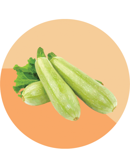 ZUCCHINI Grey