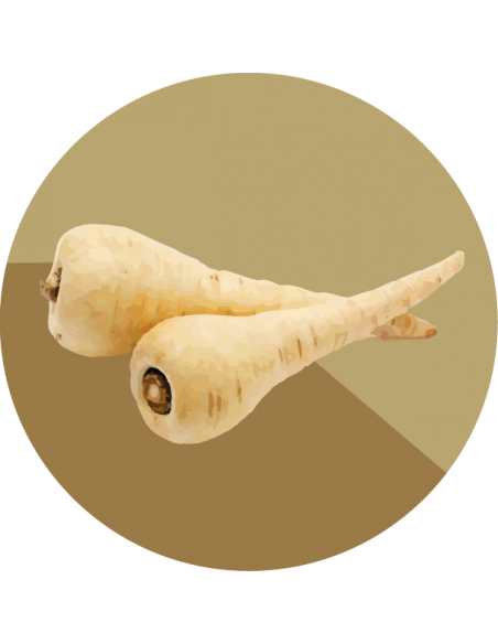 CHIRIVIA aromata CHIRIVIA aromata