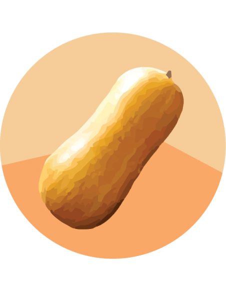 ZAPALLO ANCO Coquena INTA