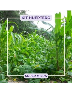 KIT Super MILPA