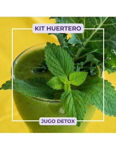 KIT JUGO DETOX