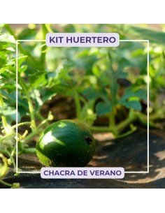 KIT x 10 - CHACRA DE VERANO