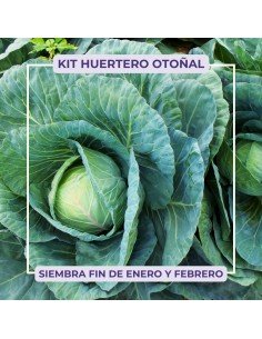 KIT HUERTERO OTOÑAL -...