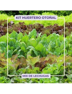 KIT OTOÑAL - MIX DE LECHUGAS