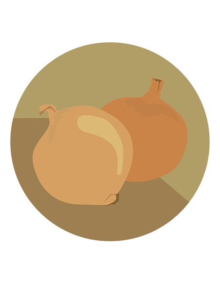 CEBOLLA RAMA LARGA Valencianita