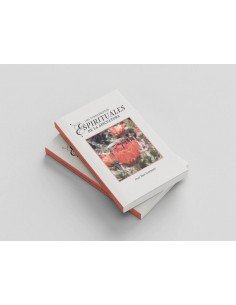 Los fundamentos... 2