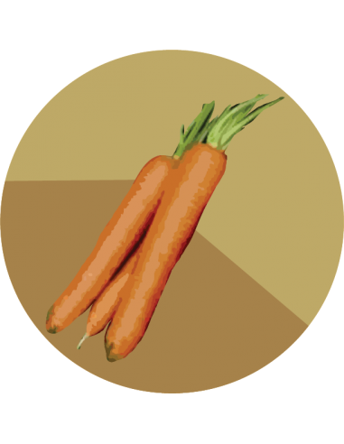 ZANAHORIA NANTESA Dolciva Ks