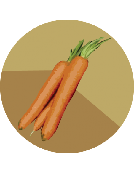 ZANAHORIA NANTESA Dolciva Ks