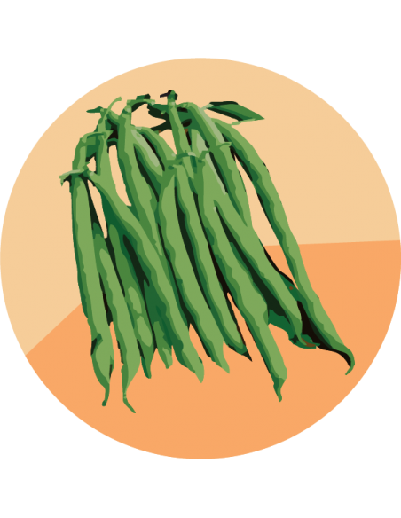 CHAUCHA REDONDA TREPADORA Lago Azul