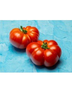 TOMATE BRANDYWINE