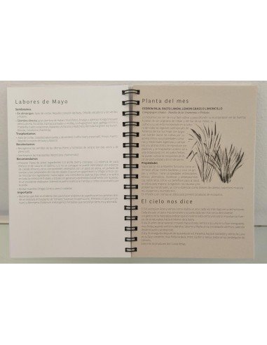 Combo Agenda - Calendario 2026